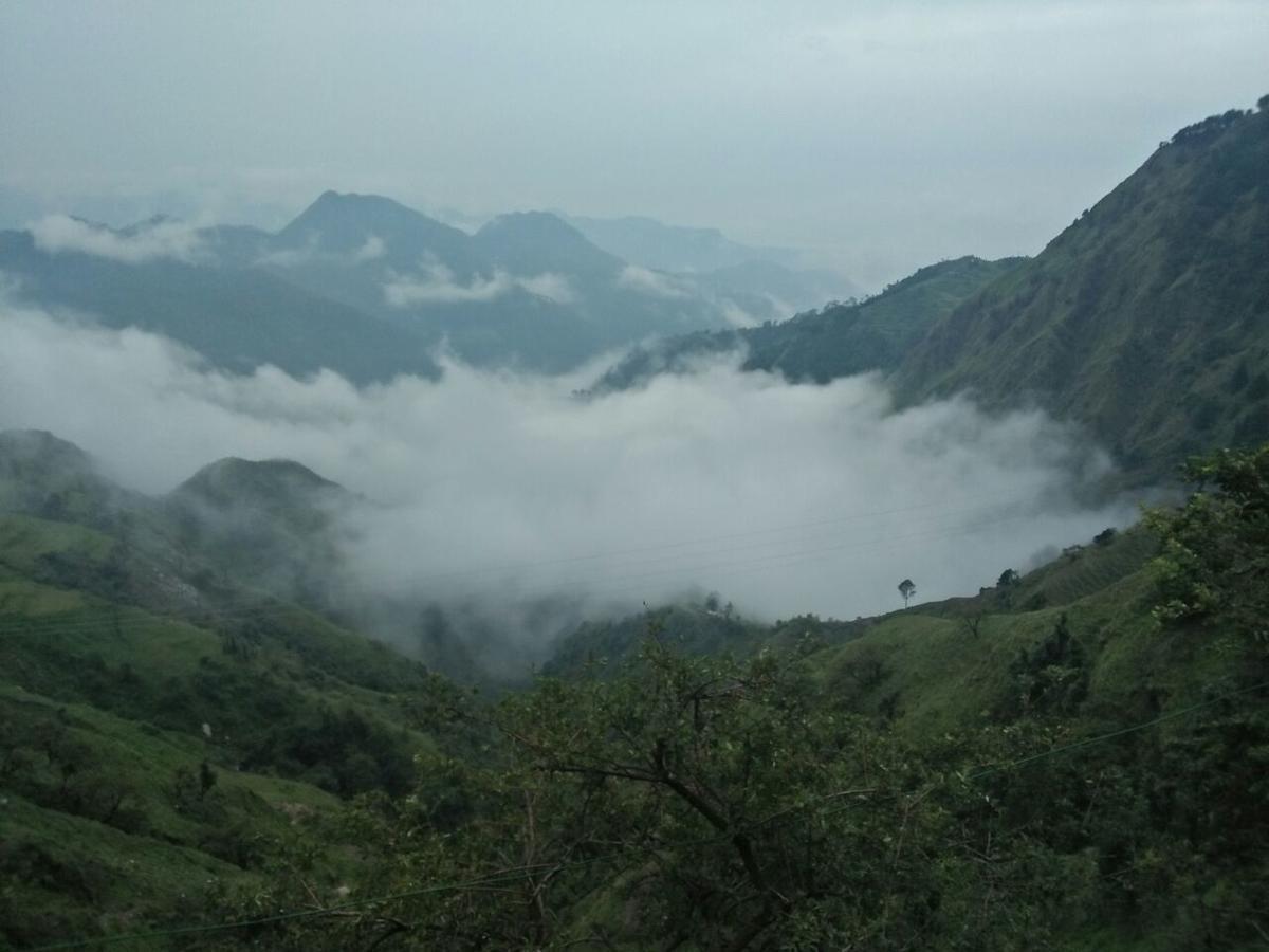 Oyo 11877 Royal Residency Hotel New Tehri Ruang foto