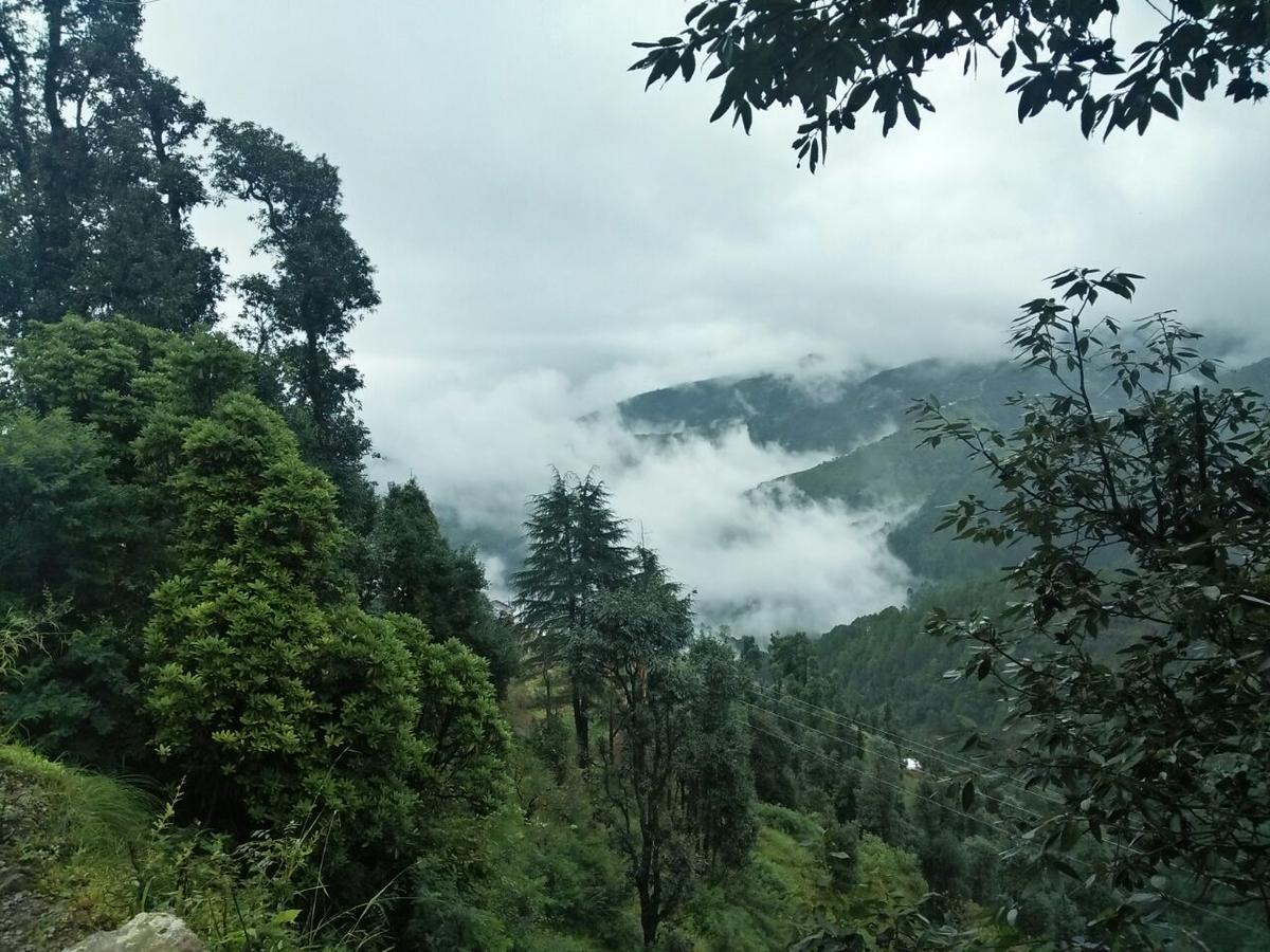 Oyo 11877 Royal Residency Hotel New Tehri Ruang foto